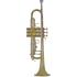 Bach TR501 (706.001) B-trombita