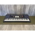 Casio CTK 501